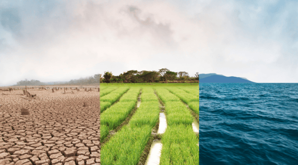 clasificacion-del-impacto-ambiental