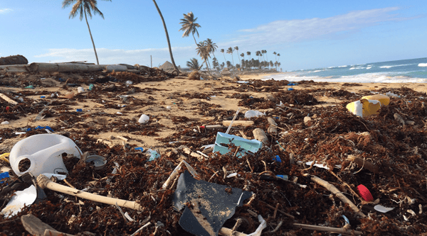 consecuencias-del-impacto-ambiental