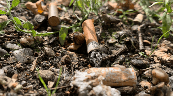  contaminacion-del-suelo