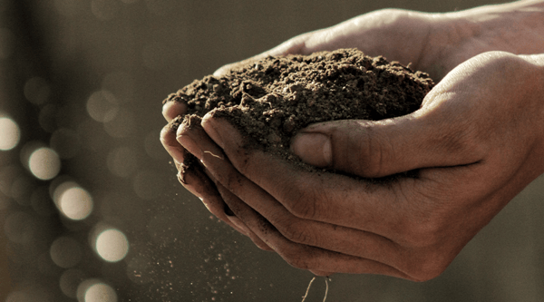 que-es-el-impacto-ambiental