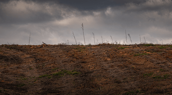 que-es-la-evaluacion-de-impacto-ambiental