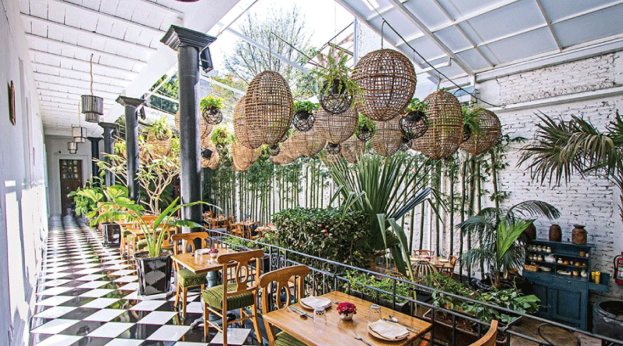 galanga-thai-kitchen