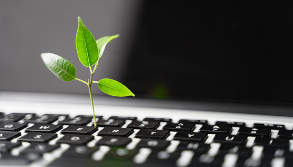 importancia-de-sustentabilidad-ambiental-en-las-empresas
