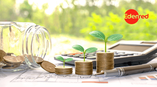 ¿Cómo garantizar unas finanzas sustentables en tu empresa?