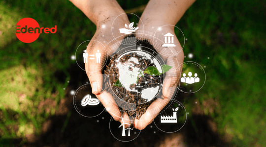 15 estrategias de sustentabilidad en empresas