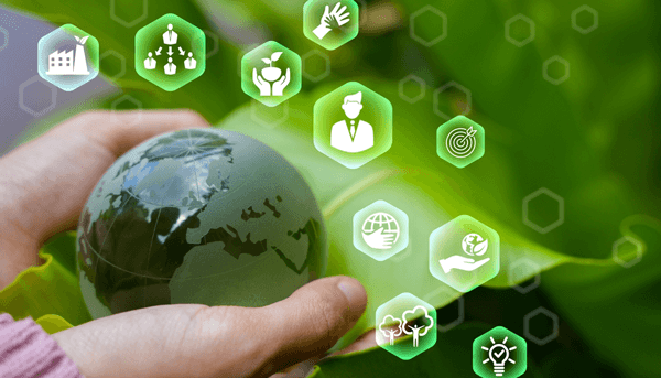 la-importancia-de-la-sustentabilidad-empresarial