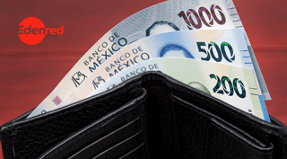 Salario Diario Integrado: qué es y cómo calcularlo