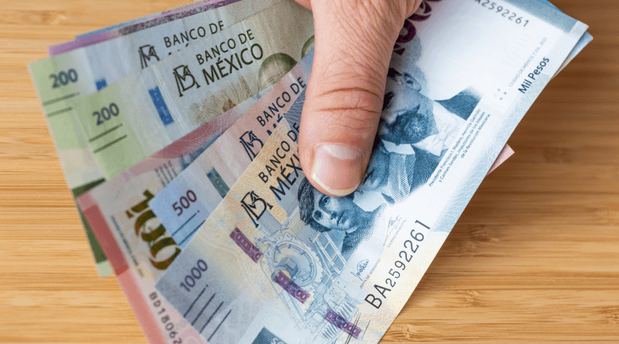 cuanto-cuesta-el-reemplacamiento