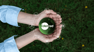 Desarrollo sostenible: qué es, soluciones e impacto