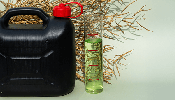 que-es-el-biodiesel