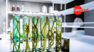 Combustible alternativo: qué es y beneficios en flotas