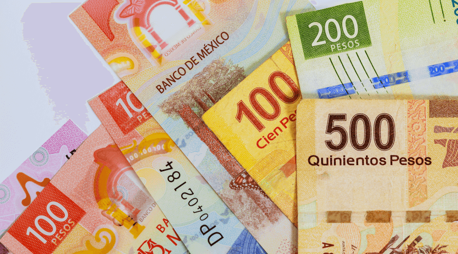 que es el salario diario integrado