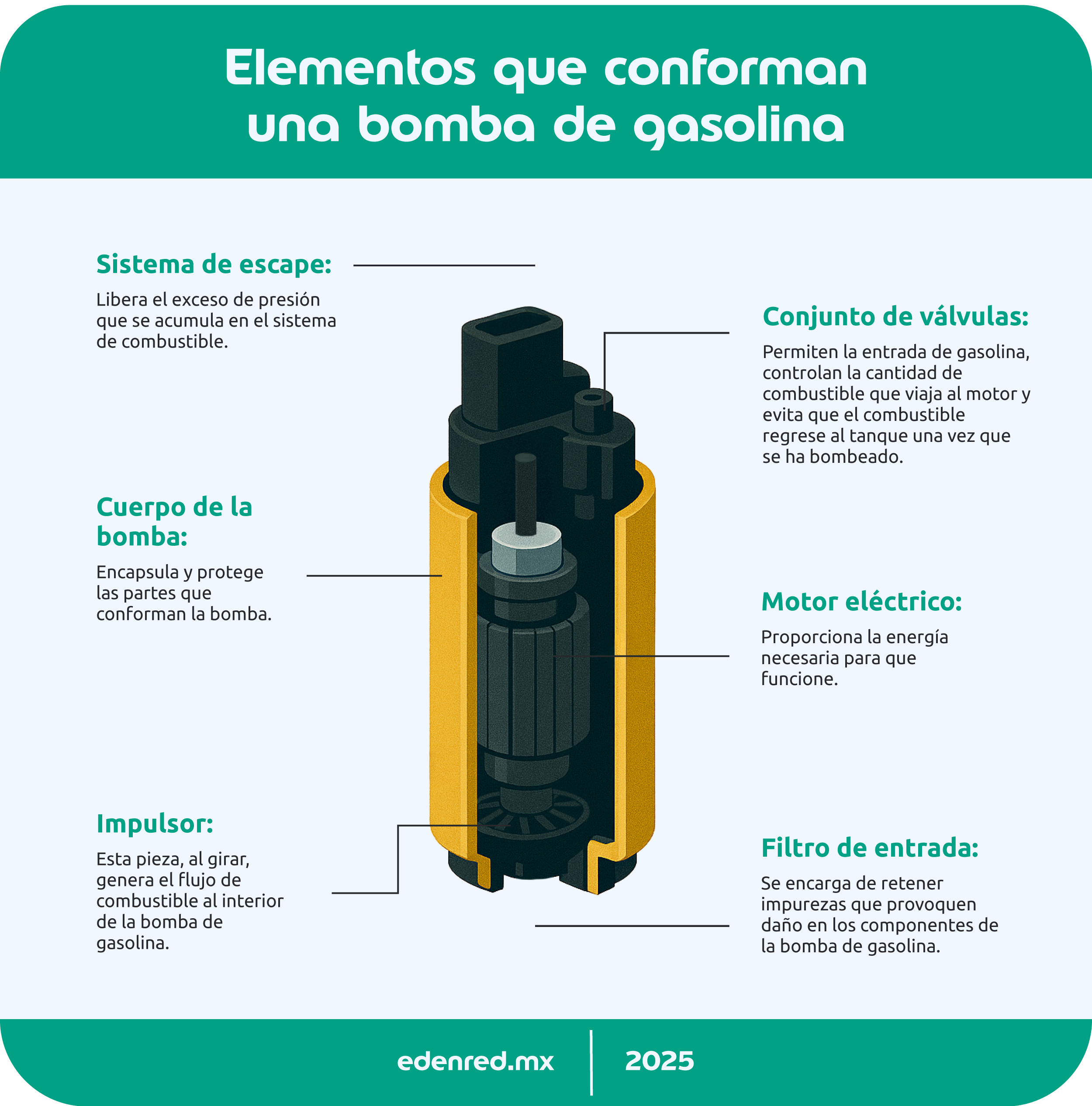 infografia elementos que conforman una bomba de gasolina