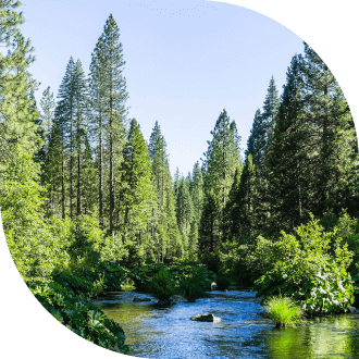 McCloud River USA Proyecto Move For Good