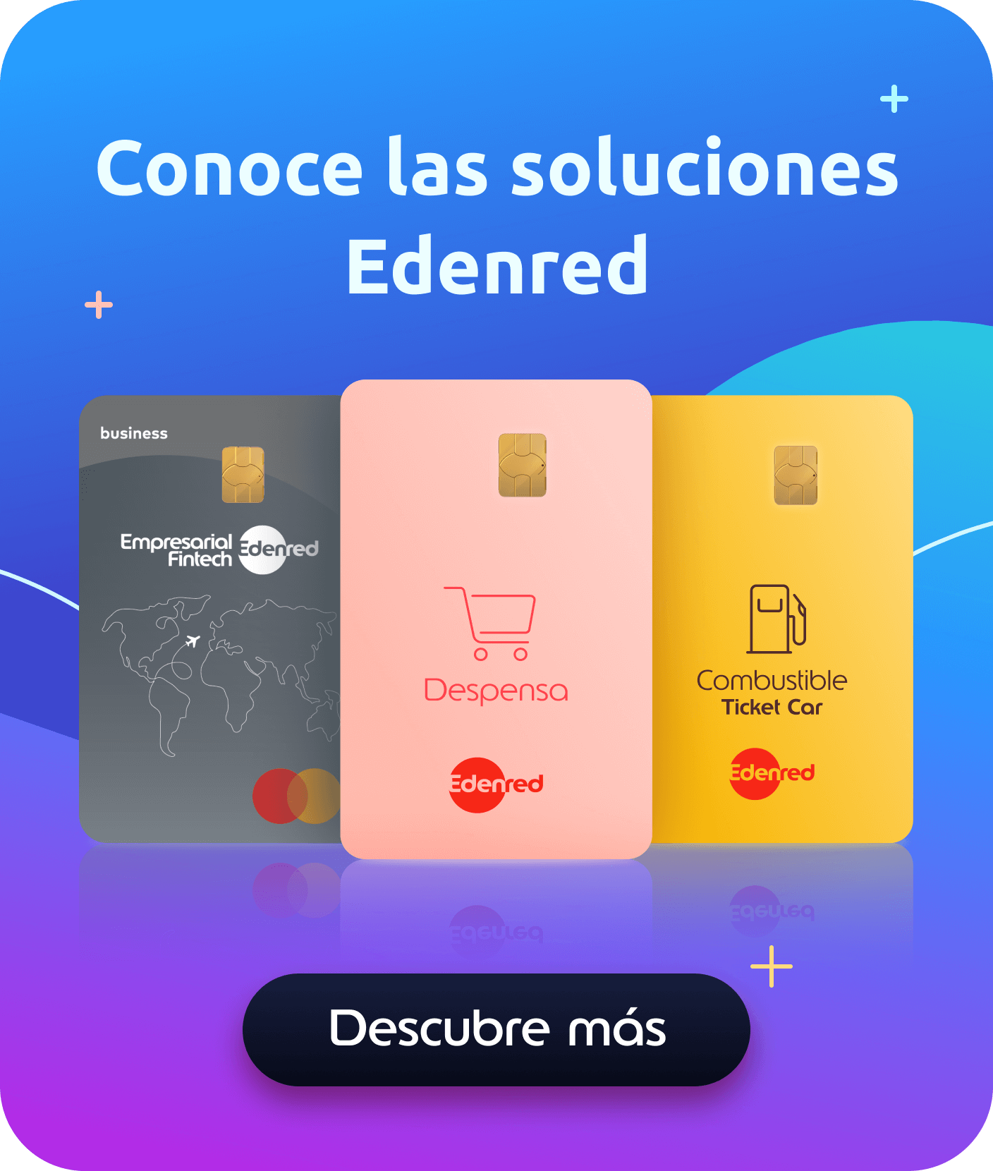 Lateral-EDENRED-NEWSROOM-B