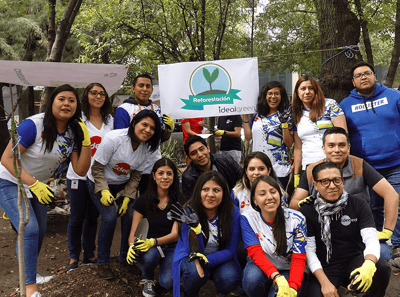 Ideal reforestación 03