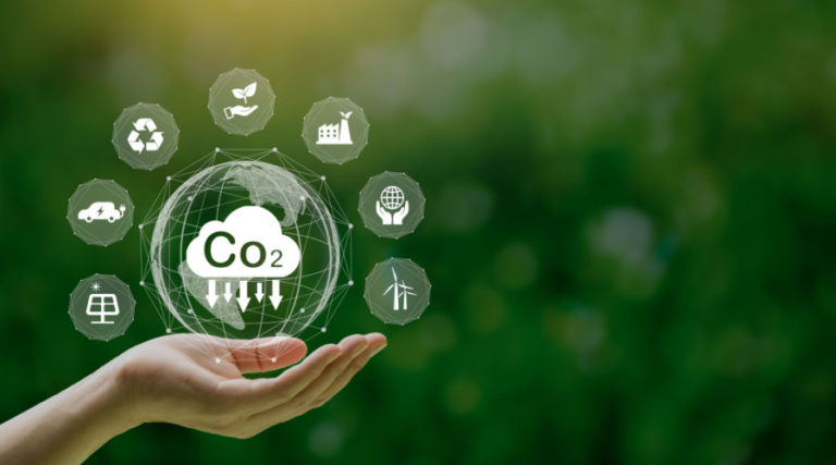 Emisiones de CO2: cómo compensar las emisiones de dióxido de carbono