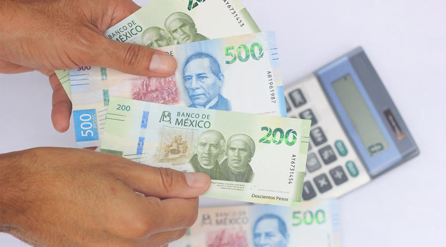 prevision-de-ingresos-de-efectivo