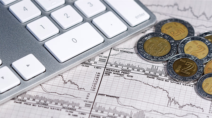 que-es-el-presupuesto-de-caja