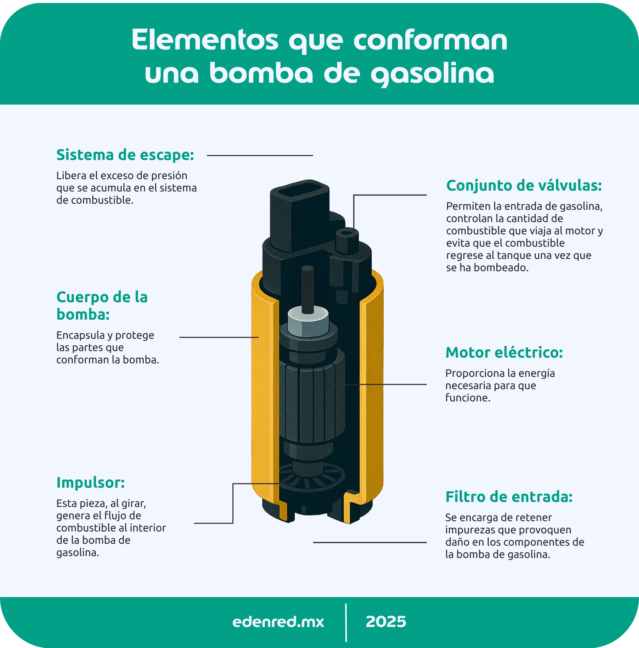 infografia-elementos-que-conforman-una-bomba-de-gasolina