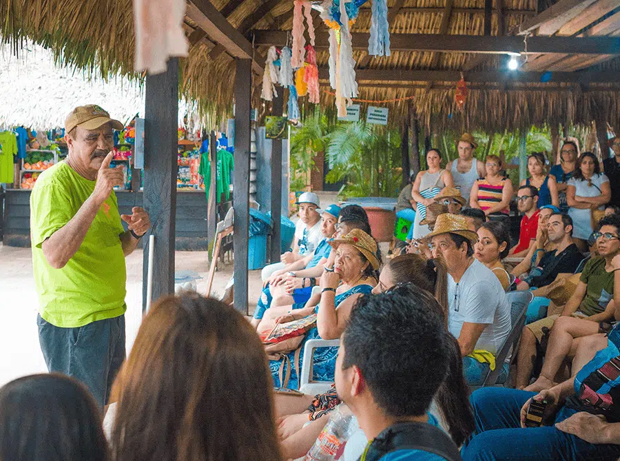 Ideal tortugas 02